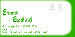 erno bubik business card